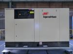 Ingersoll-Rand - ML90 - 90kW - Ref:12007 / Lubricated rotary screw compressors / Ingersoll-Rand ML - MH - MM - MU - MXU - SSR